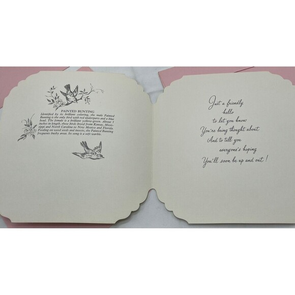 5 VINTAGE QUALITY CREST BEAUTIFUL BIRDS SCENES GREETING CARDS UNUSED ENVLEOPES - Picture 11 of 13